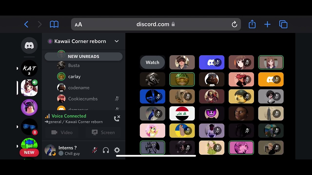 Meowbah discord server compilation