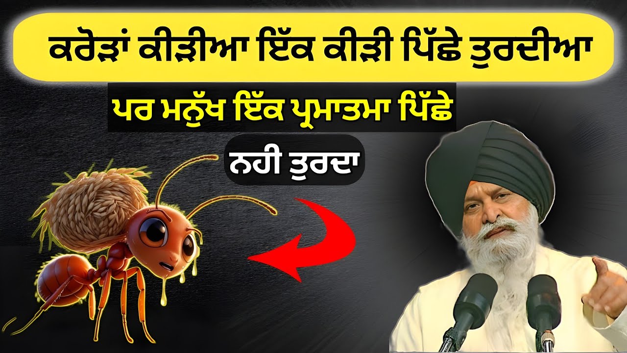 ਕਰੋੜਾਂ ਕੀੜੀਆਂ ਇੱਕ ਕੀੜੀ ਪਿੱਛੇ ਕਿਉਂ ਤੁਰਦੀਆਂ? | Sant Maskeen Singh Ji Katha | 99% ਨਹੀਂ ਜਾਣਦੇ