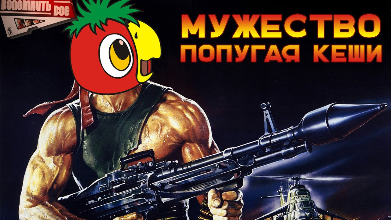 МУЖЕСТВО ПОПУГАЯ КЕШИ [ВСПОМНИТЬ ВСЁ]