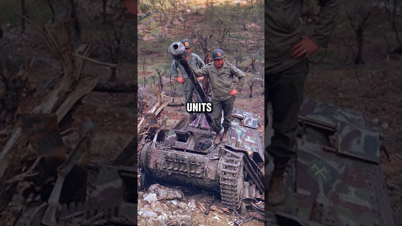 Что случилось с итальянскими солдатами во время Второй мировой войны?