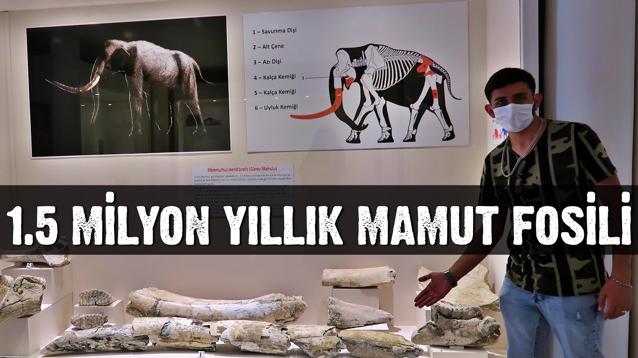 KONYA EREĞLİ MÜZESİNİ GEZDİK | TARİHİ ESERLER