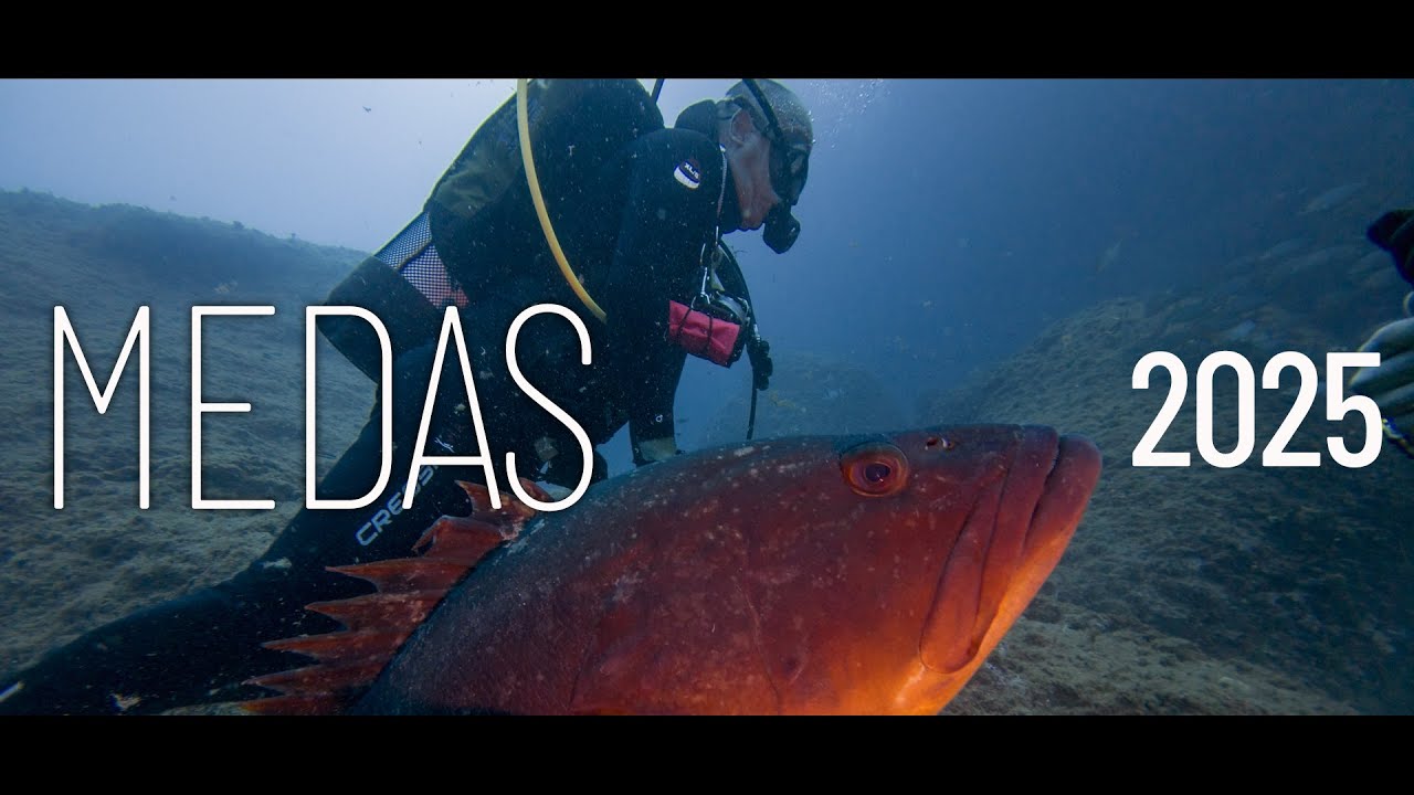 Dive in Medas '25 - L'Estartit