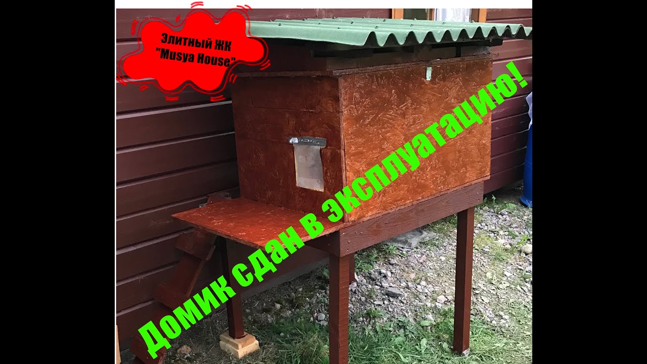 Строю зимний домик для кошки.