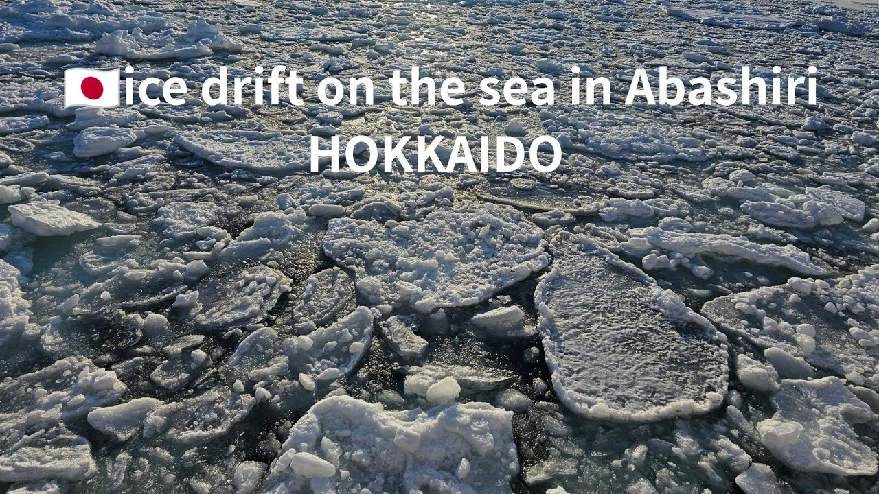 🇯🇵ice drift on the sea in Abashiri HOKKAIDO 