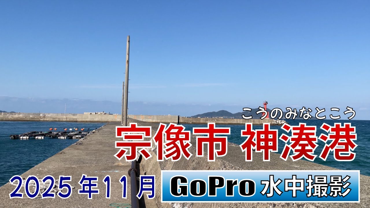 神湊港でGoPro沈めてみた