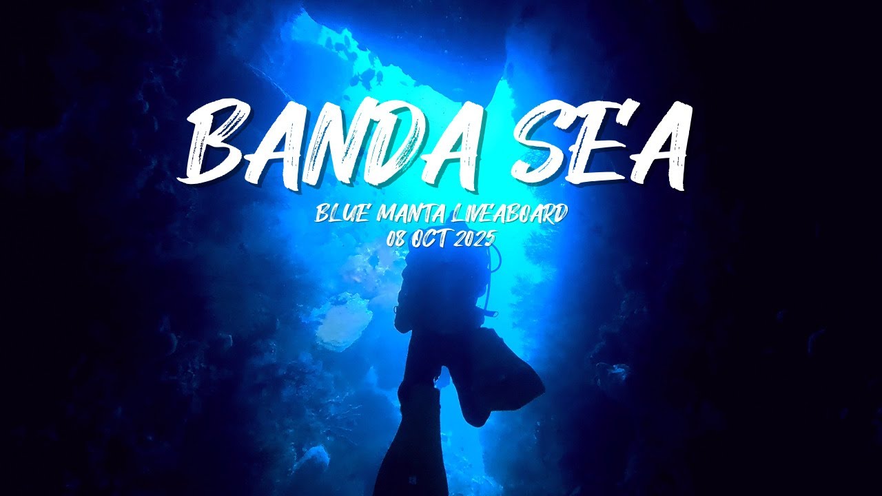 스쿠버여행 @ 인도네시아 반다해 2025년10월 | Scuba trip to , OCT 2025