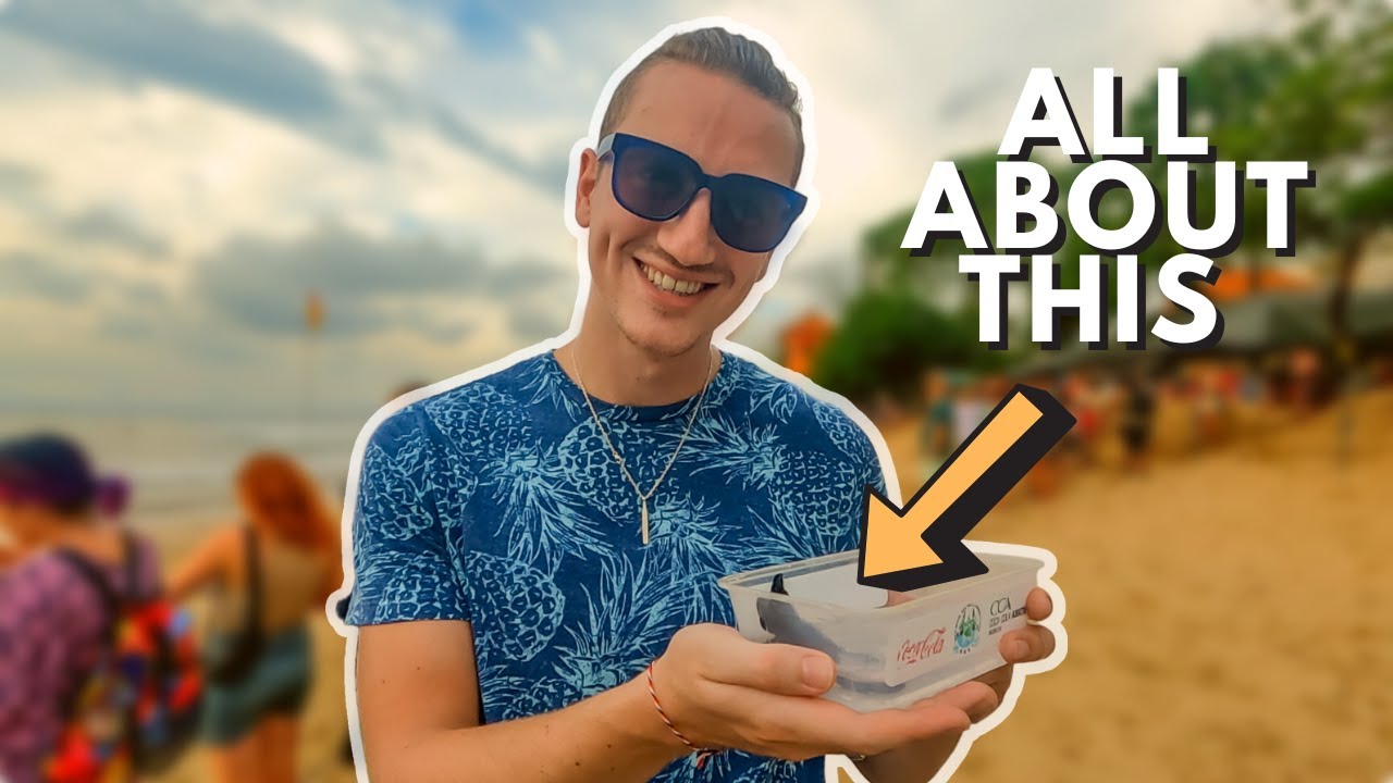 200 Baby Sea Turtle Release (Unique Bali Experience)