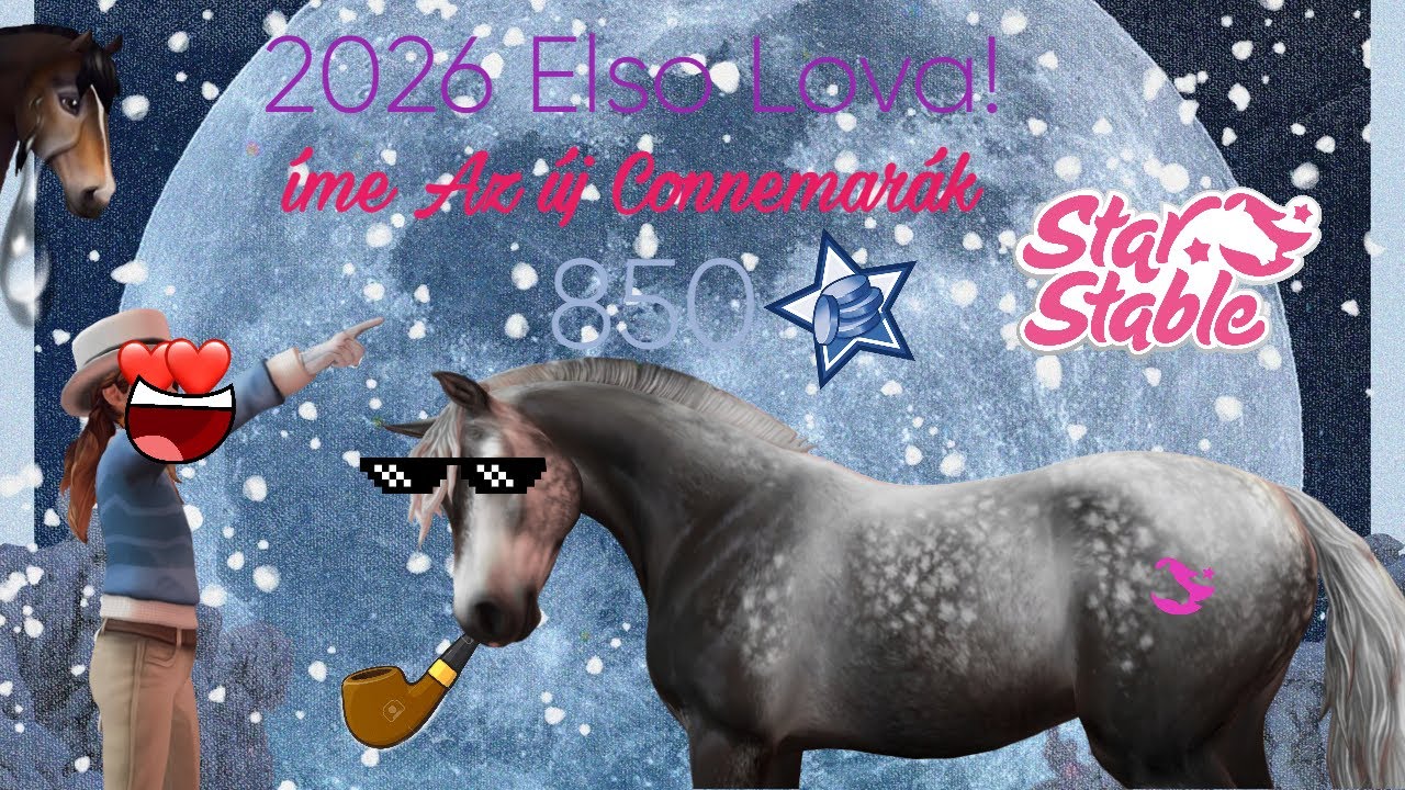 Új connemarák! #new #sso #starstable #starstableonline #shopping #viral #hungary #video #buy