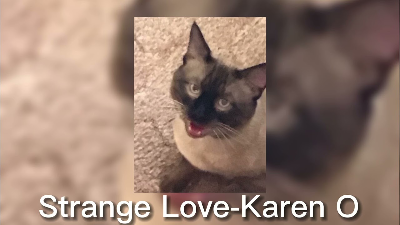 Strange love-Karen O