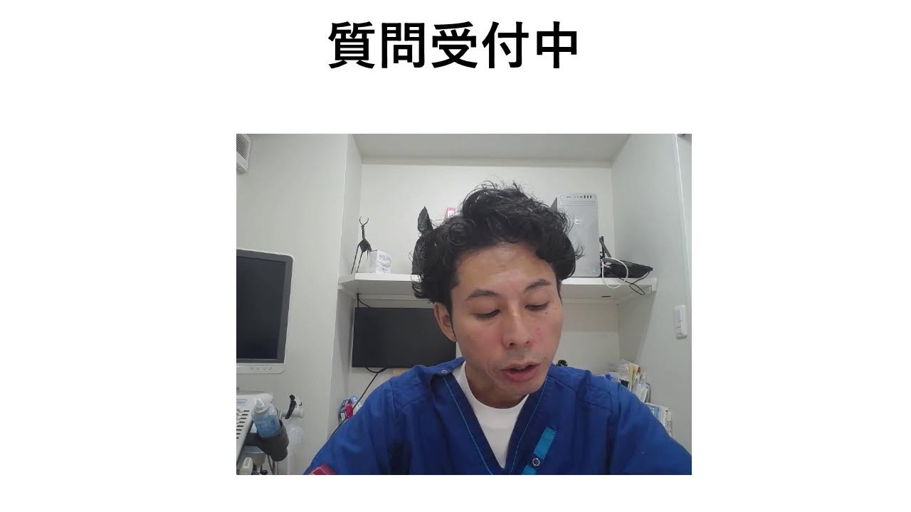 犬猫の食事相談会/第111回/炎症性腸疾患の相談