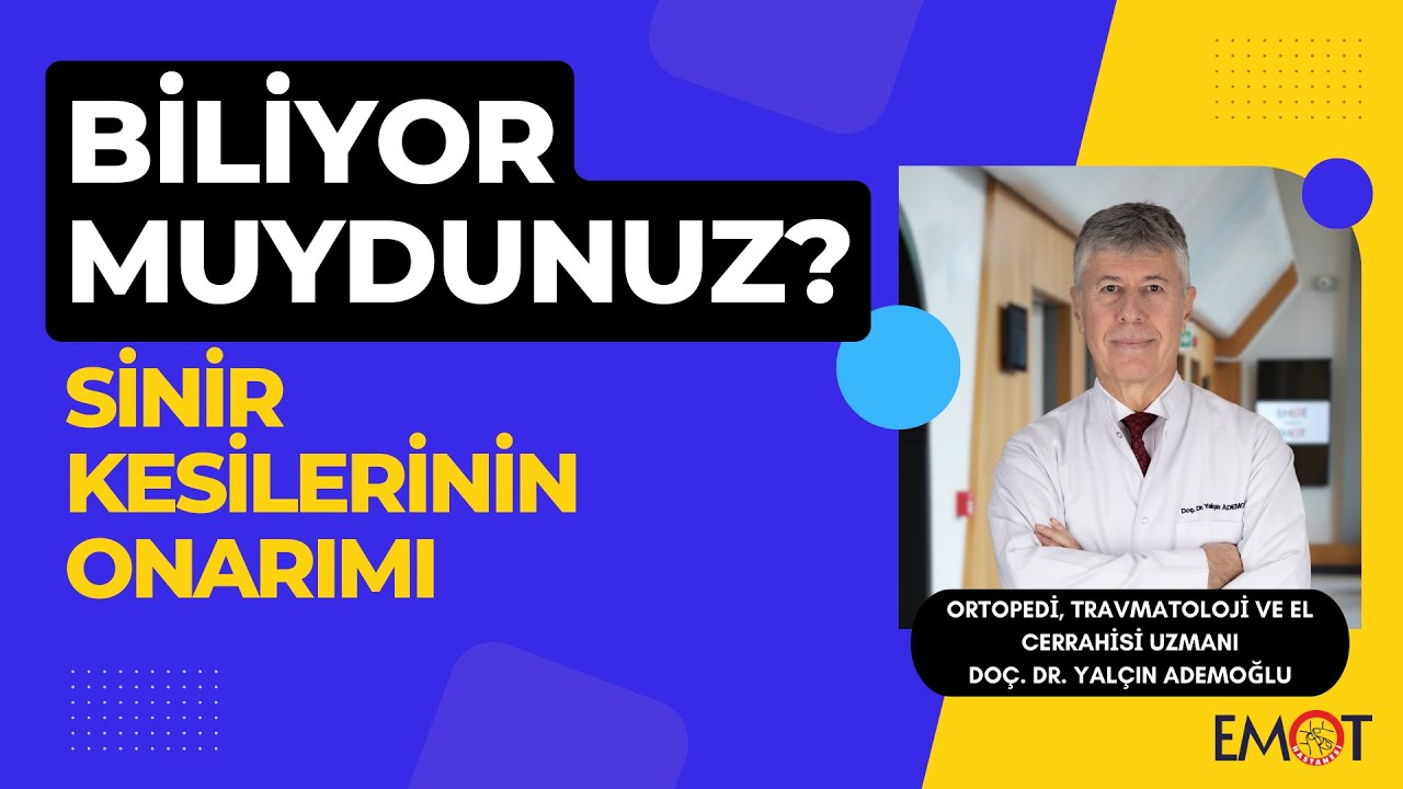 Sinir Kesilerinin Onarımı  - Biliyor Muydunuz?