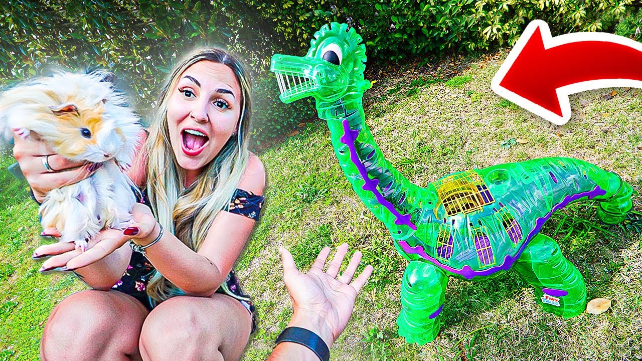 DEI o DINOSSAURO GIGANTE pra PORQUINHA da &Iacute;NDIA que RESGATEI no LIXO mas...