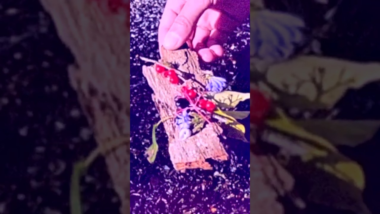 Bark Boats in our music video 🛶🌼