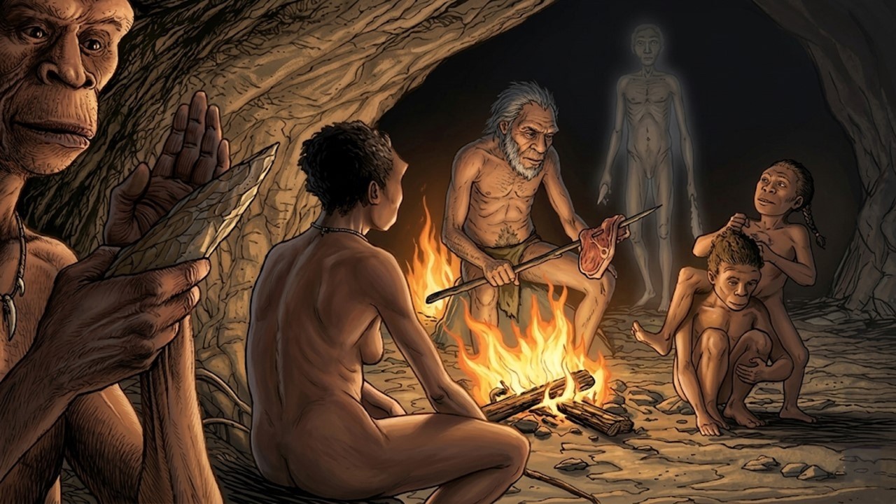 Неразгаданные тайны Homo erectus, первого человека [Питание человека и эволюция. Часть 2]