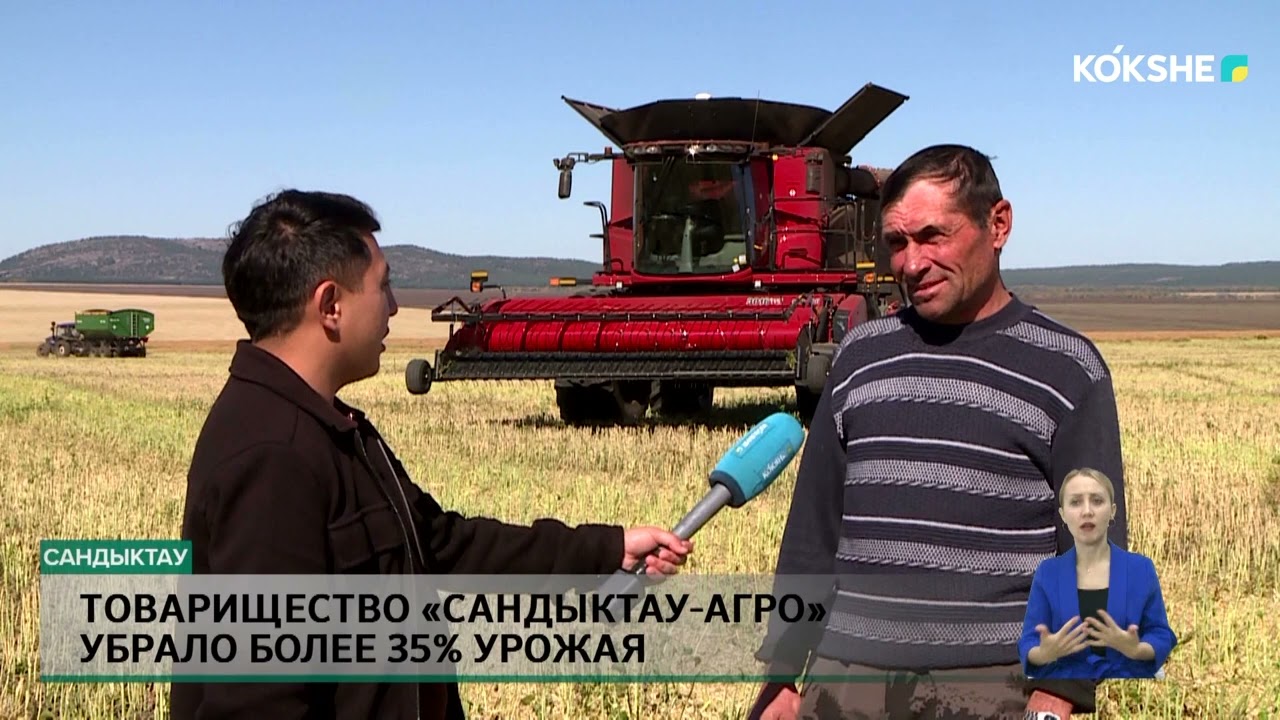 Товарищество «Сандыктау Агро» убрало более 35% урожая