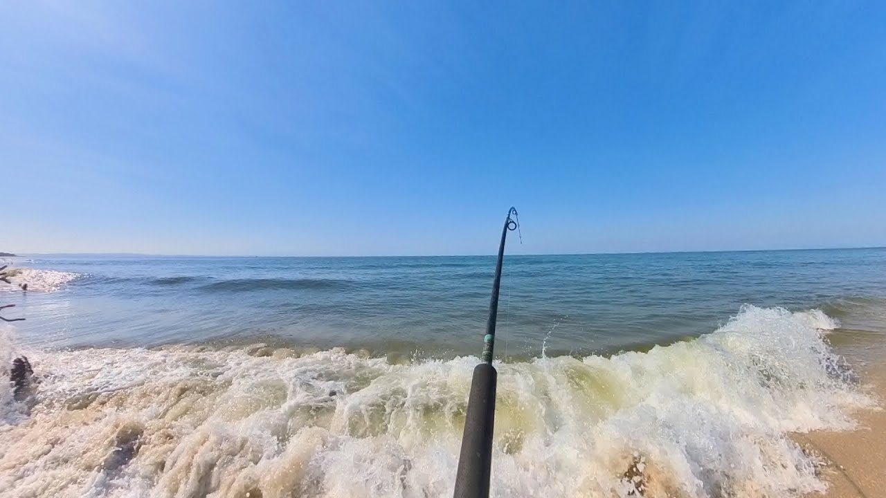 Can I catch whiting using live yabbies on a beach where most people use worms cooking