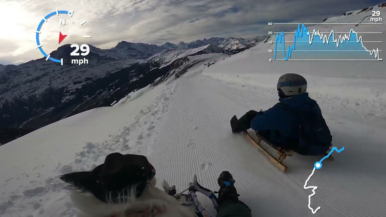 Rodeln: Dog Sledding the Big Pintenfritz
