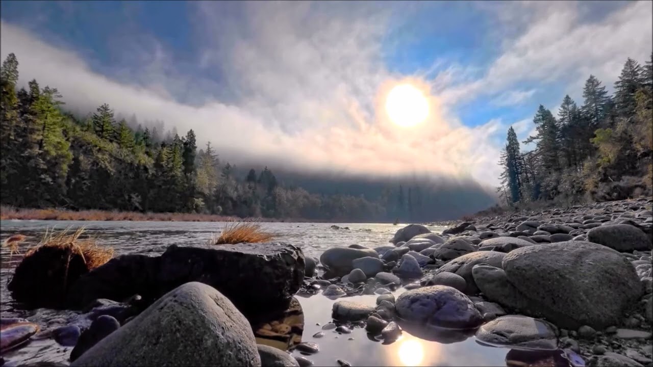 Peaceful Forest River | Relaxing River Sounds | Relaxing Nature Sounds  Sleep