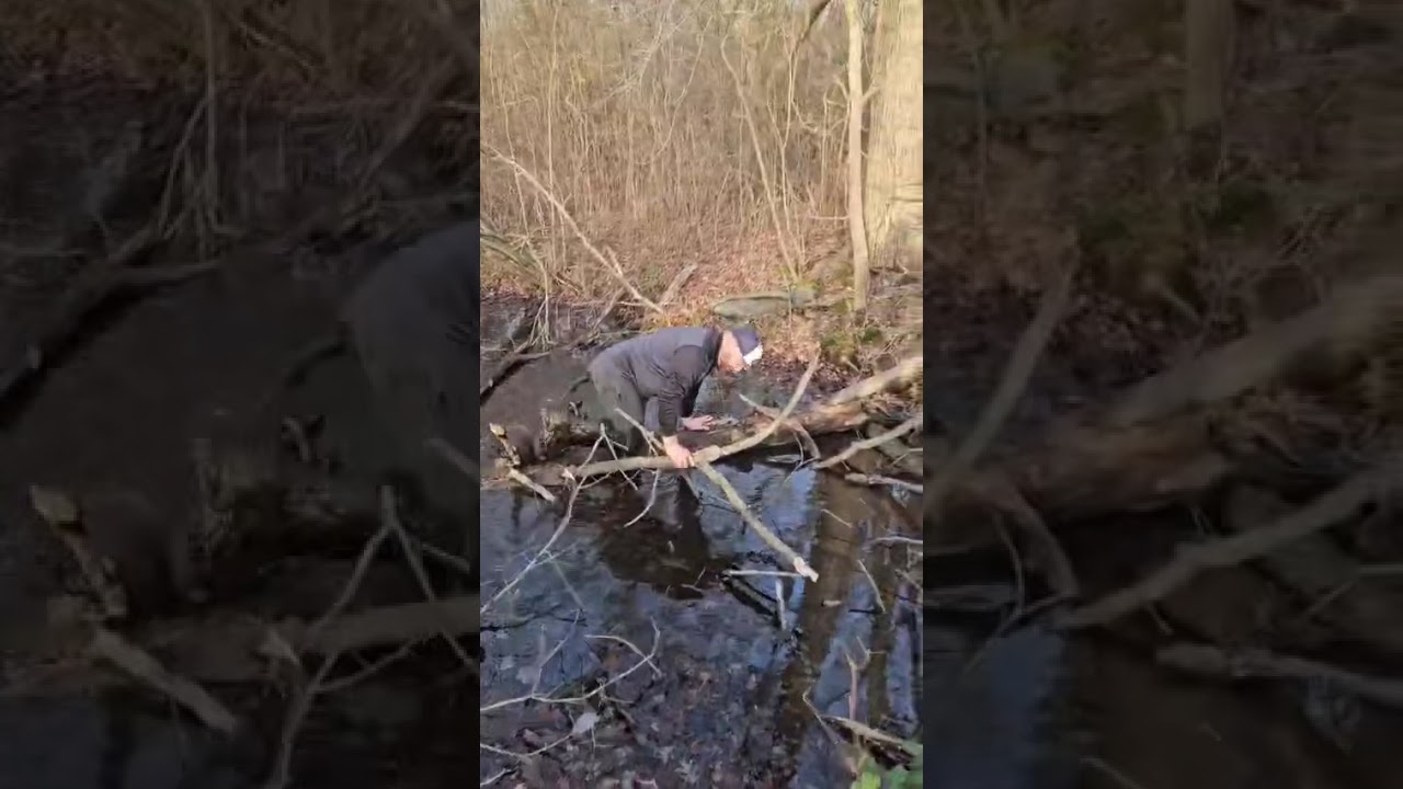 Disc golf can be dangerous. 