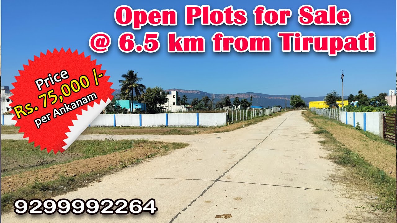 Open Plots for Sale @ 6.5 km from Tirupati #tirupatirealestate #openplotsforsale #realestate #plots