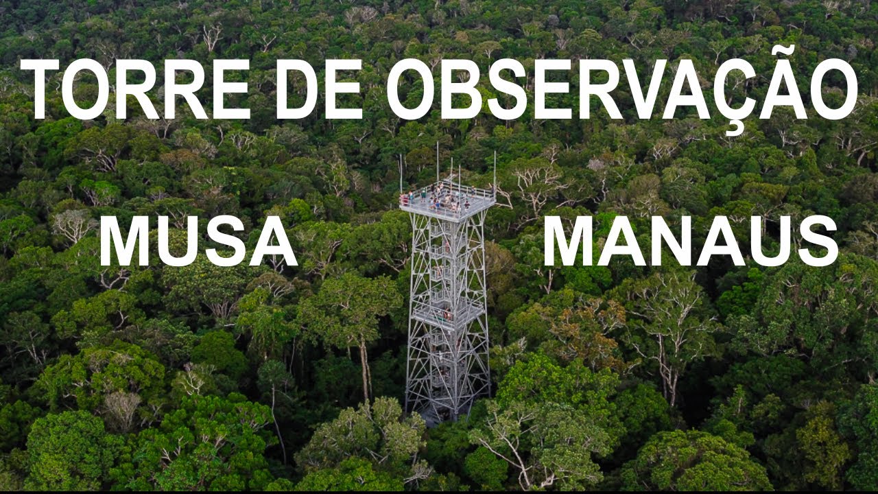 Torre de Observação do Musa | Manaus - Amazonas | Amazônia Brasileira.