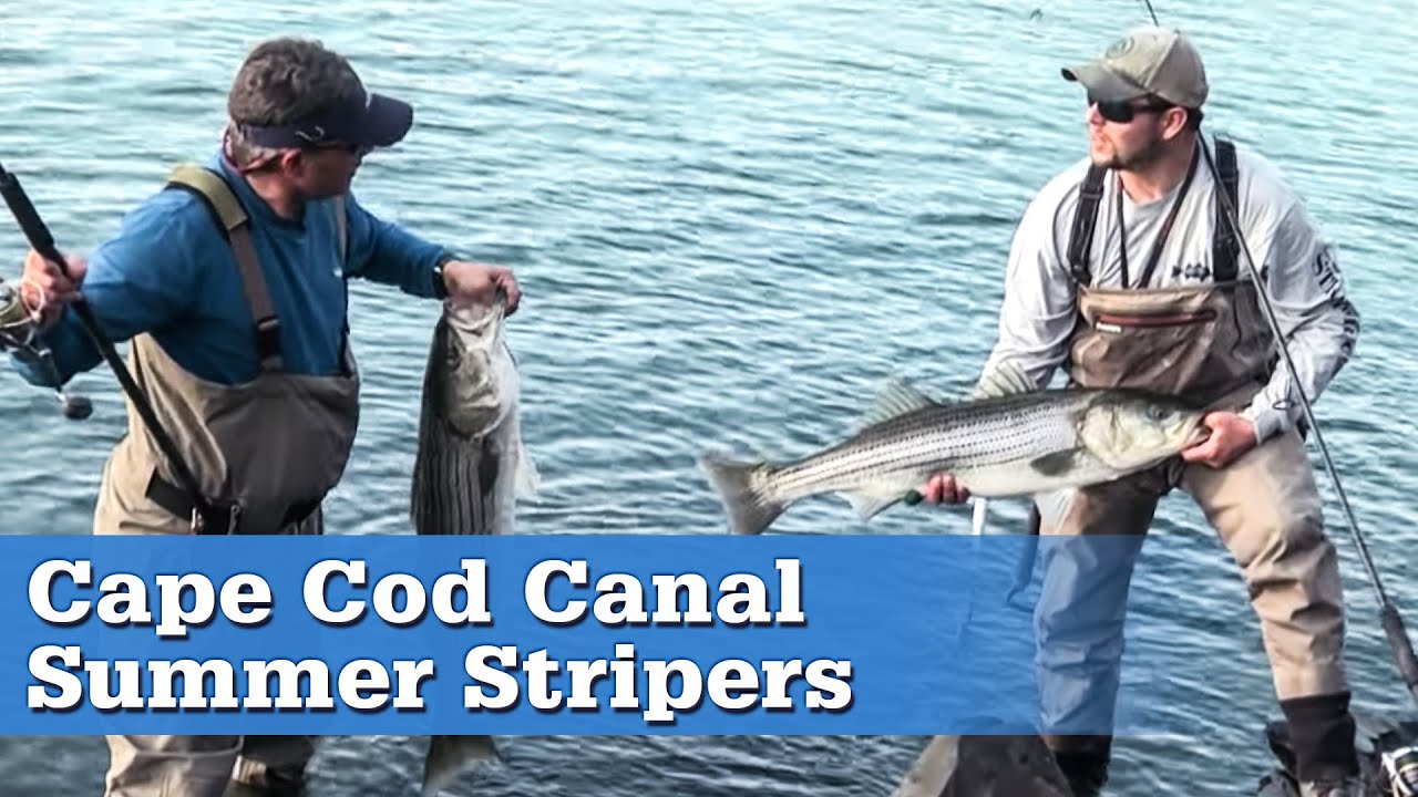 Summer Stripers in the Cape Cod Canal | S13 E8