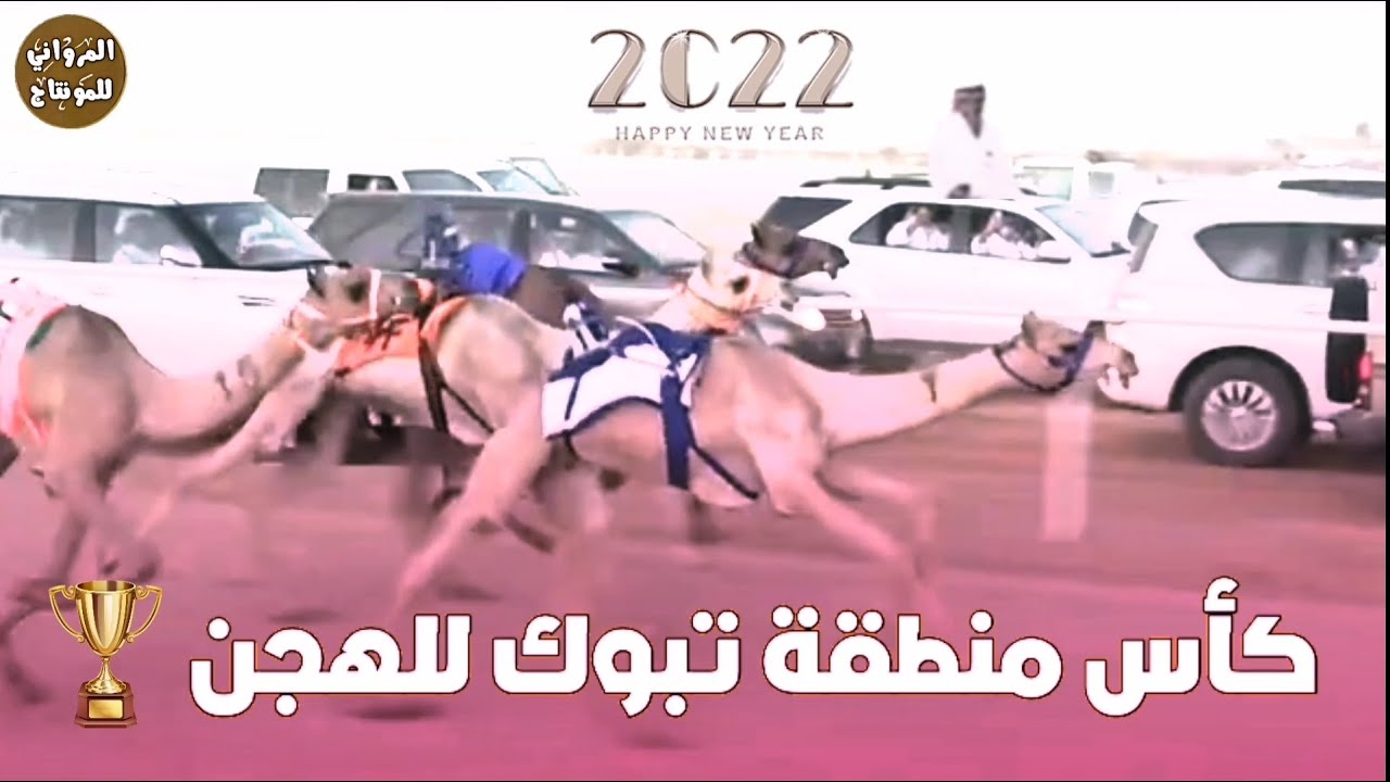 3 دقيقه تخطف الأنفاس سباقات الهجن 🔥كأس منطقة تبوك🏆 مع عبدالله بن رويشد الجهني 2021