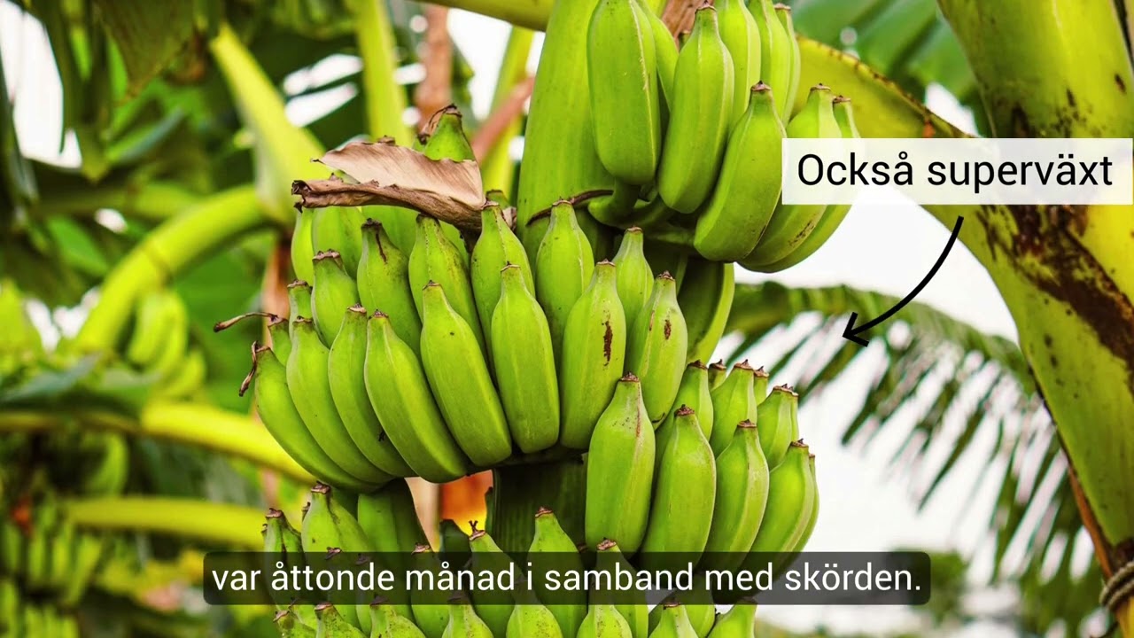 Månadens lådöppning MXC mars 2022