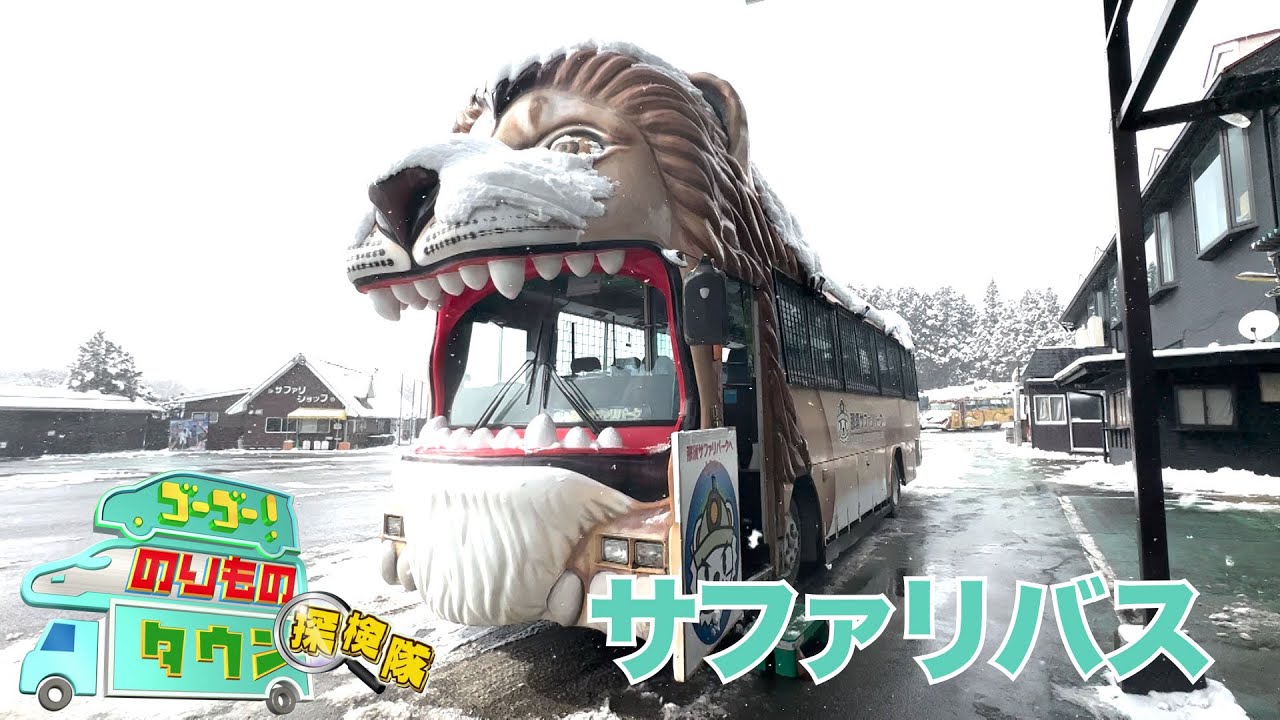 ゴーゴー！のりものタウン探検隊2025　#04 サファリバス