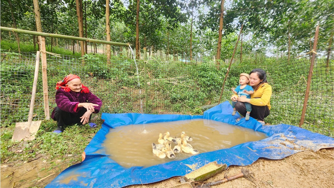 Building a Pond in the Forest - Raising Livestock in a Wooden House with My Blind Grandmother