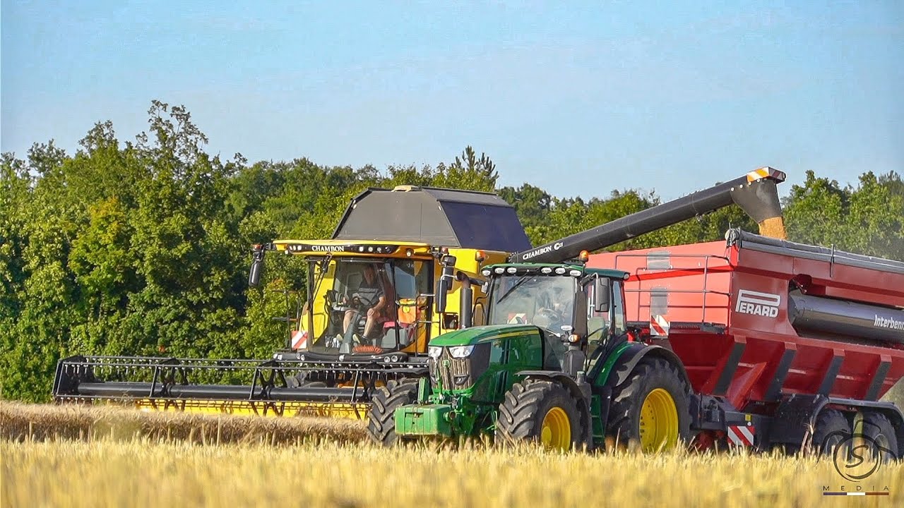New Holland CR 7.90 🟡 / moisson de blé dur 2024 🇨🇵