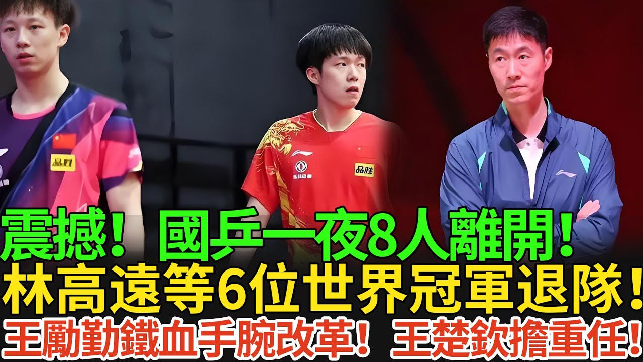 國乒一夜8人離開！林高遠等6位世界冠軍退隊！王勵勤鐵血手腕改革！王楚欽擔重任！#王楚欽 #孫穎莎 #国球乒乓 #pingpong