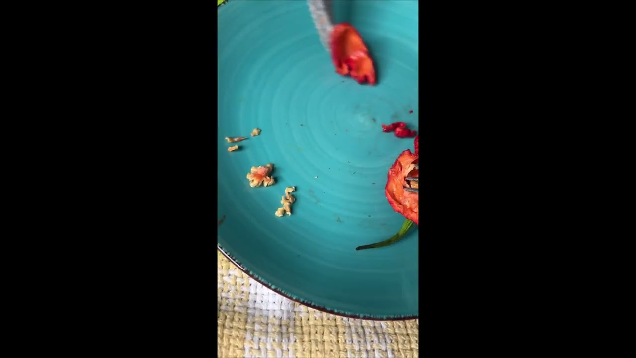 Extracting seeds from my Carolina Reaper peppers.