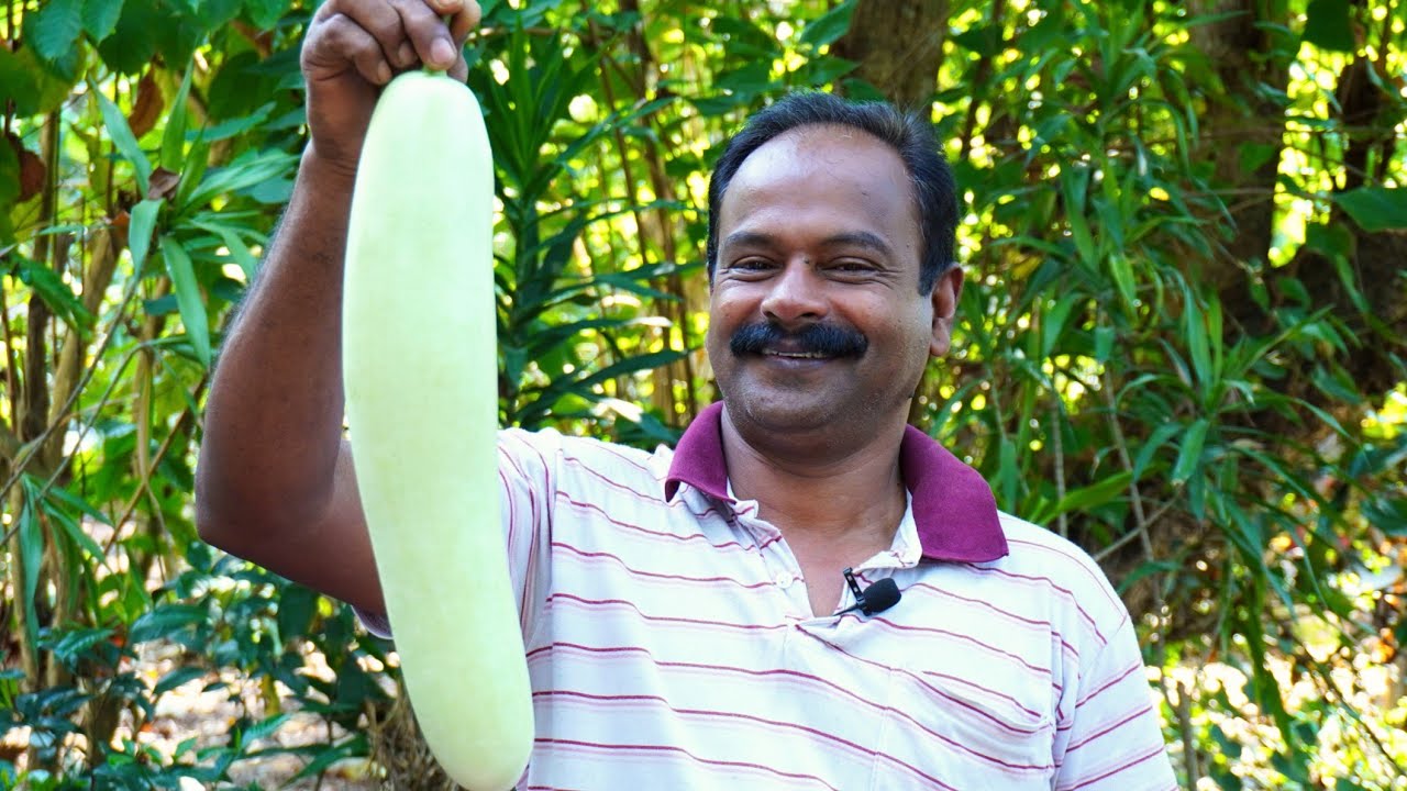 ചുരക്ക കൊണ്ട് ചപ്പാത്തിക്കും ചോറിനും പറ്റിയ ഒരു തനി നാടൻ കറി 😋| Churakka Curry | Village Spices