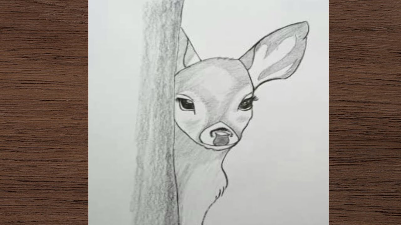 HOW TO DRAW A CUTE DEER - Easy Step-by-Step Pencil Drawing Tutorial for Beginners