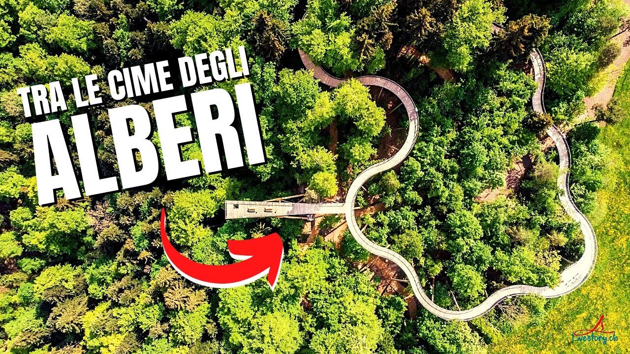 ESPERIENZE FIGHE da FARE in SVIZZERA 🇨🇭(passerella tra gli alberi e camminata a piedi scalzi)