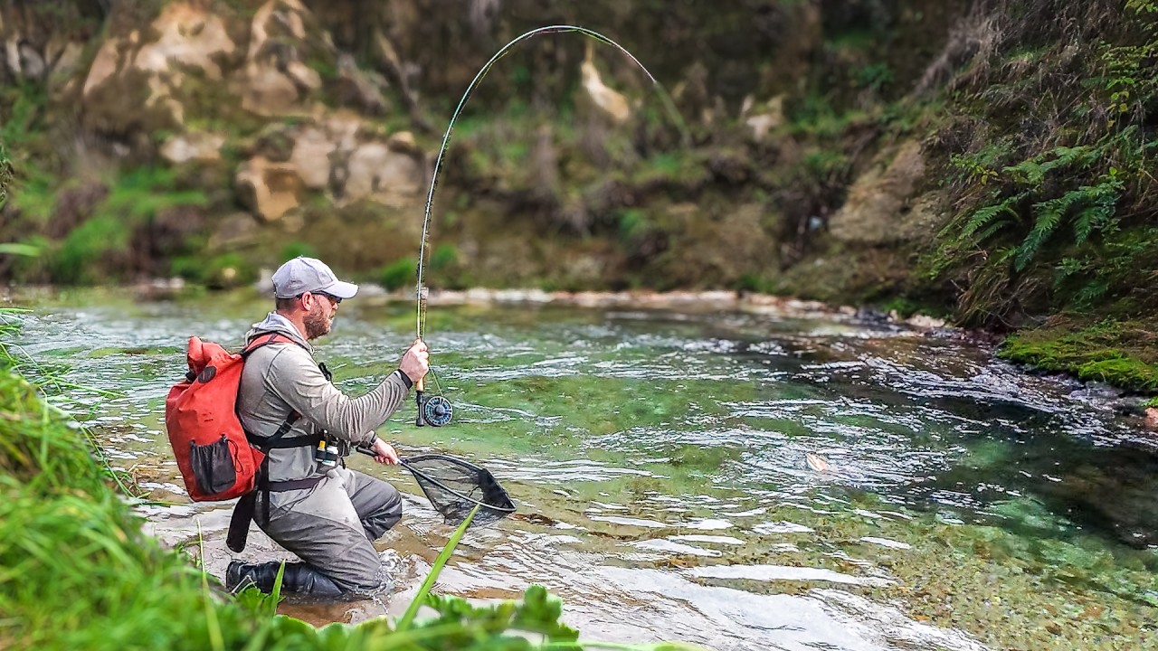 Big Trout + Clear Water = Incredible Fishing