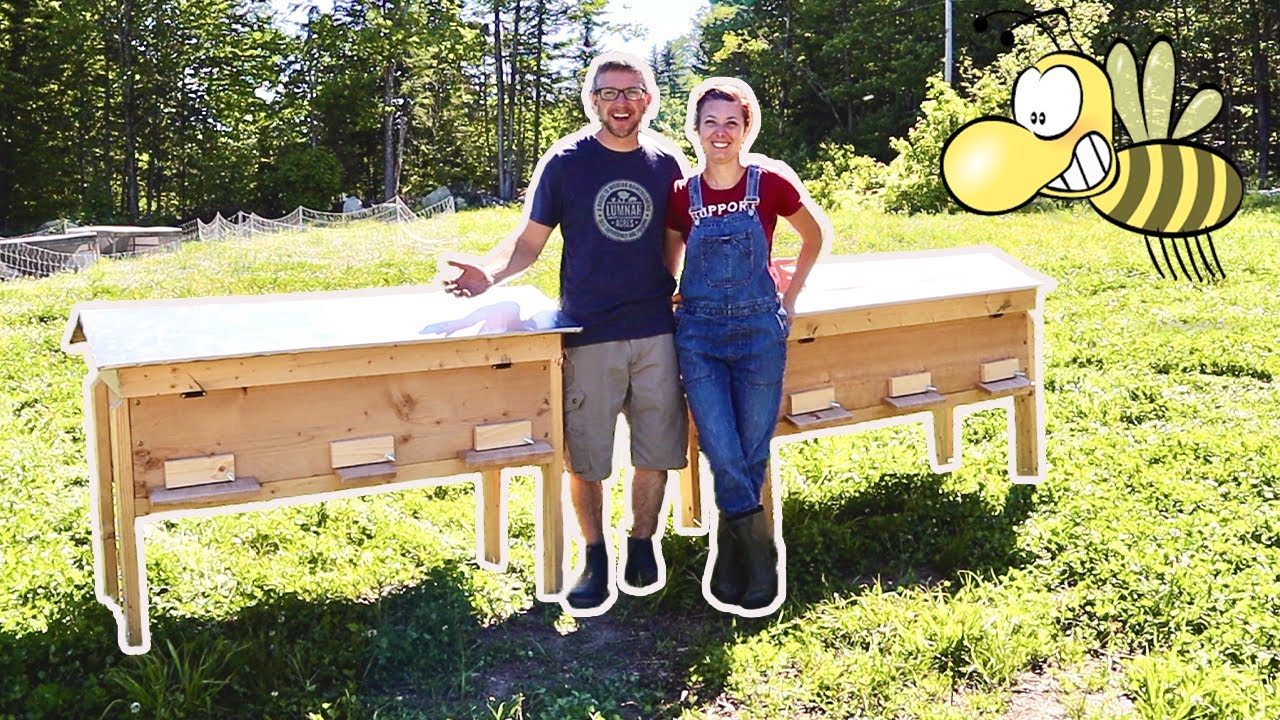 Preparing Horizontal Hives for 20,000 Honey Bees we WON't Regret THIS?!?