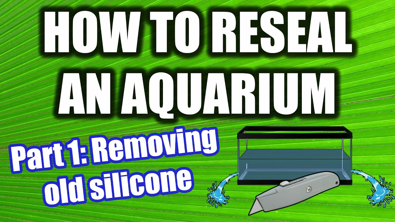How to Reseal an Aquarium and Make it Rimless - Part 1: Removing Silicone and Disassembly
