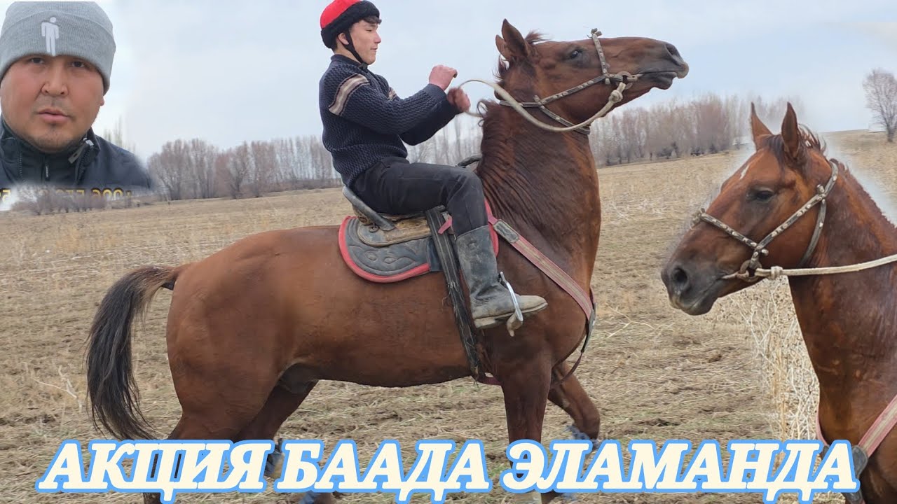 Эламандын АКЦИЯ АТЫ 