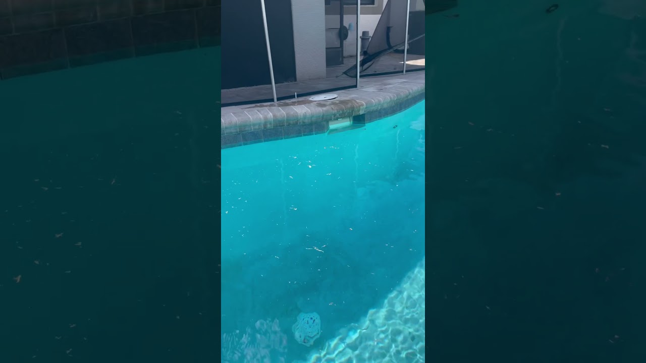 Dawn Dish soap vs Pool Debris!!! #plumbing