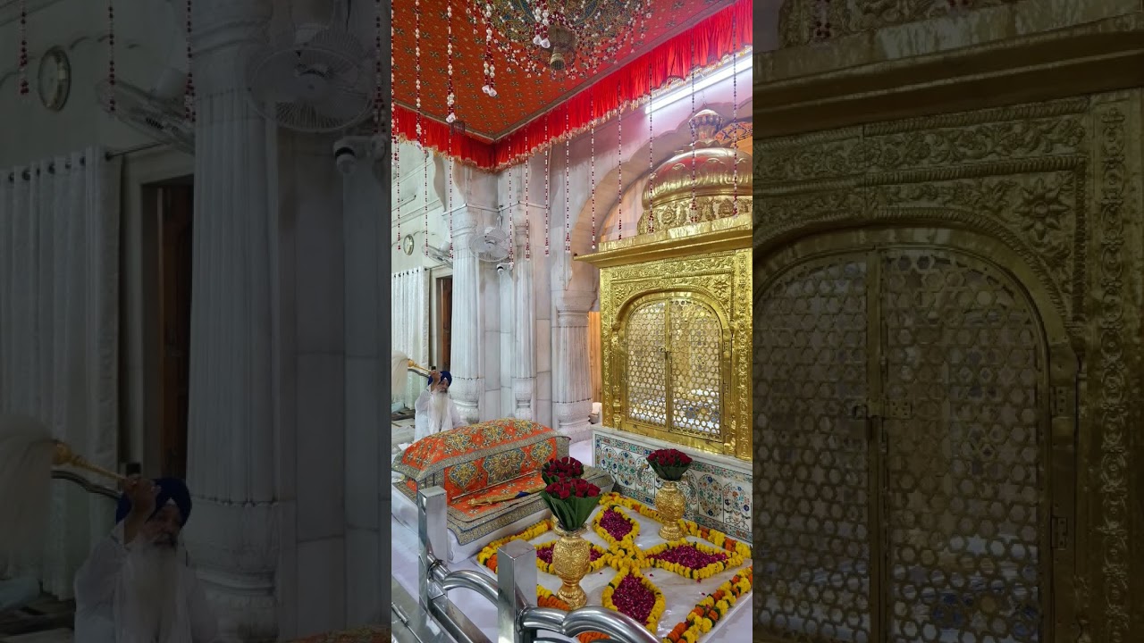 #gurbanishabad #sikhtemple #sikh#goldentemple#ytgurbani #gurdwara#religious#shorts #devotional #bani