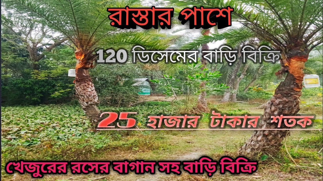 বাড়ি বিক্রি রাস্তার পাশে