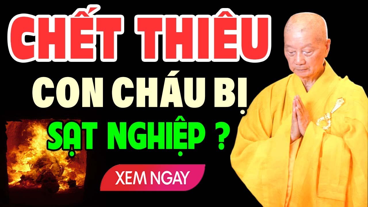 NGƯỜI CHẾT THIÊU tro cốt thả xuống sông CÓ HẠI GÌ cho con cháu ? HT Trí Quảng giải đáp rất hay !