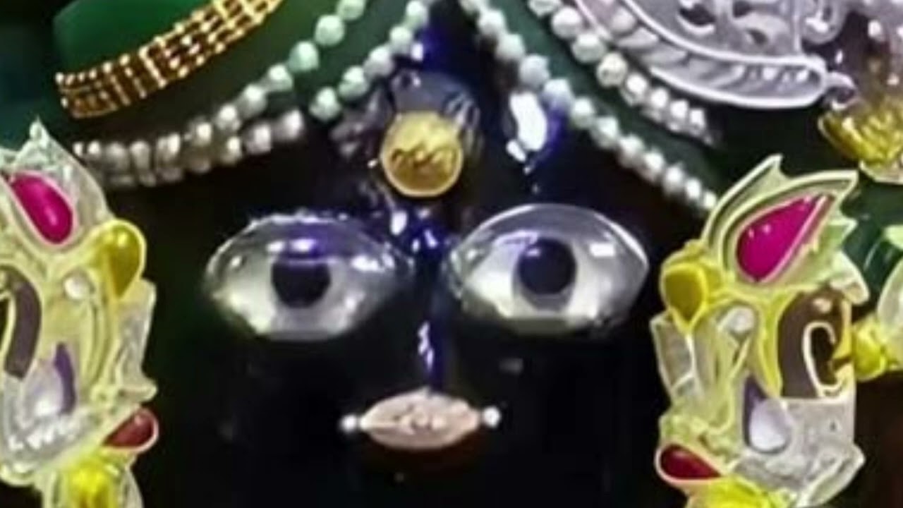 Bihari tere naina Jadu bhare bahut Sundar Bhajan 
