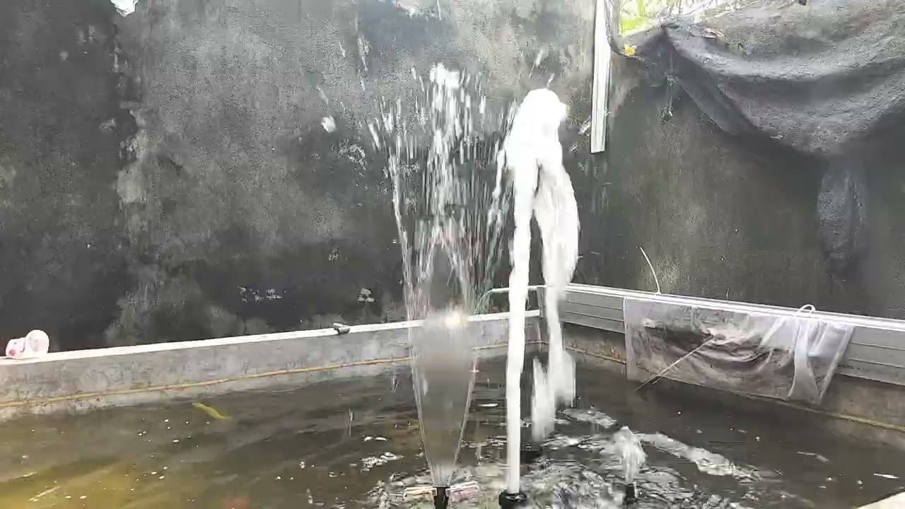 Old fountain 2