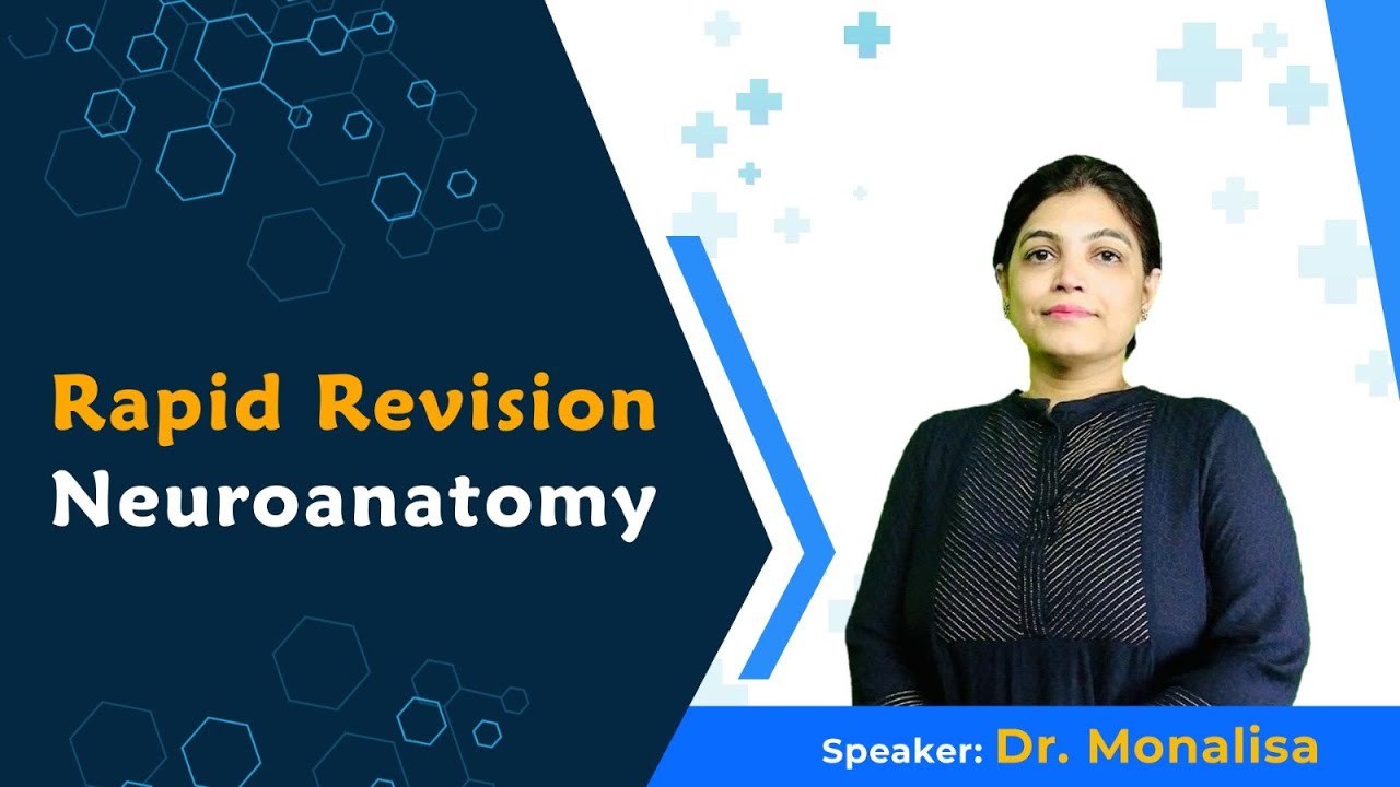 Neuroanatomy Rapid Revision -  Dr. Monalisa