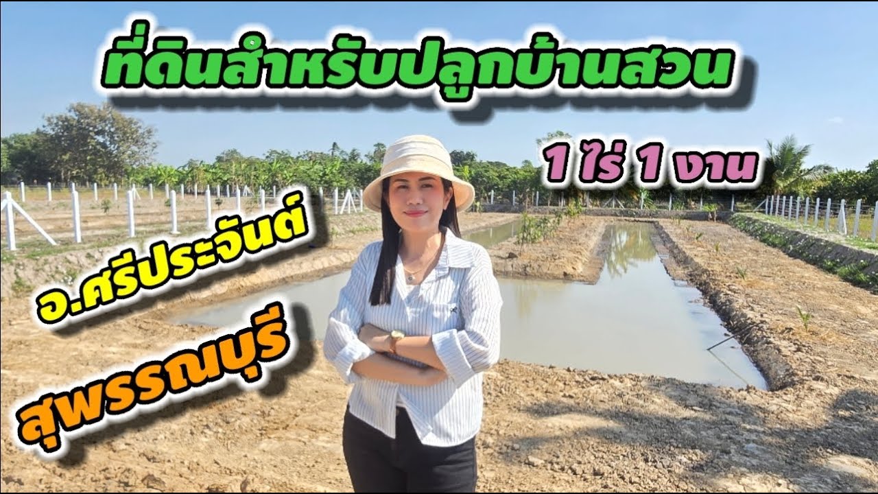 #ที่ดินสุพรรณบุรี #ที่ดินปลูกบ้าน #ที่ดินปลูกบ้านสวน ราคาถูกมากอยู่ในชุมชน อ.ศรีประจันต์ #สุพรรณบุรี