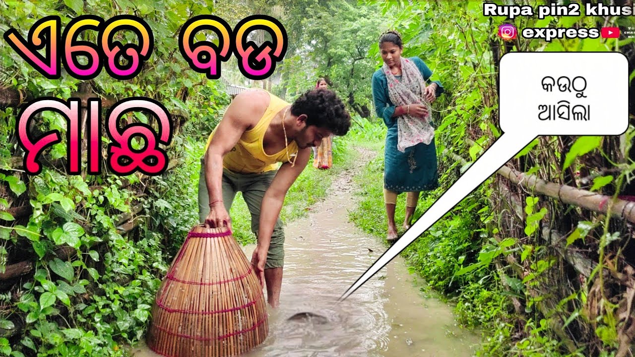 ଏତେ ବଡ ମାଛ କଉଠୁ ଆସିଲା / Rupa Pin2 Khushi