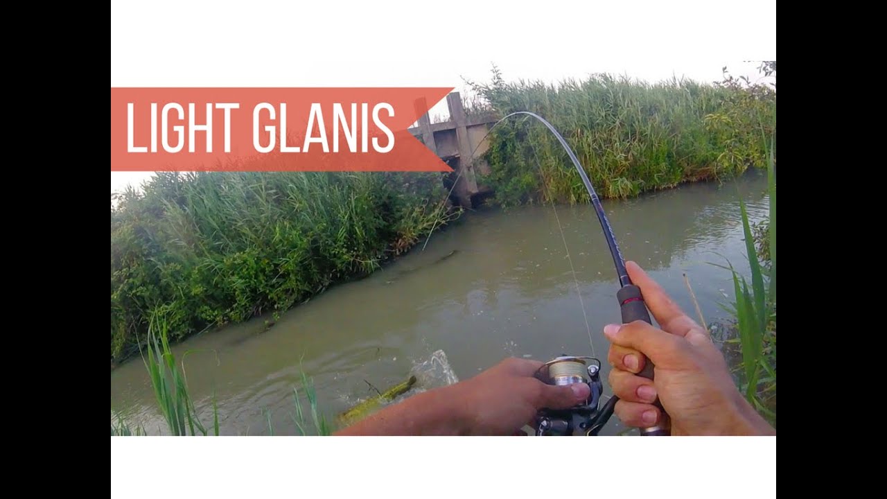 Light glanis foss fishing - Pesca light al siluro in fosso | #3